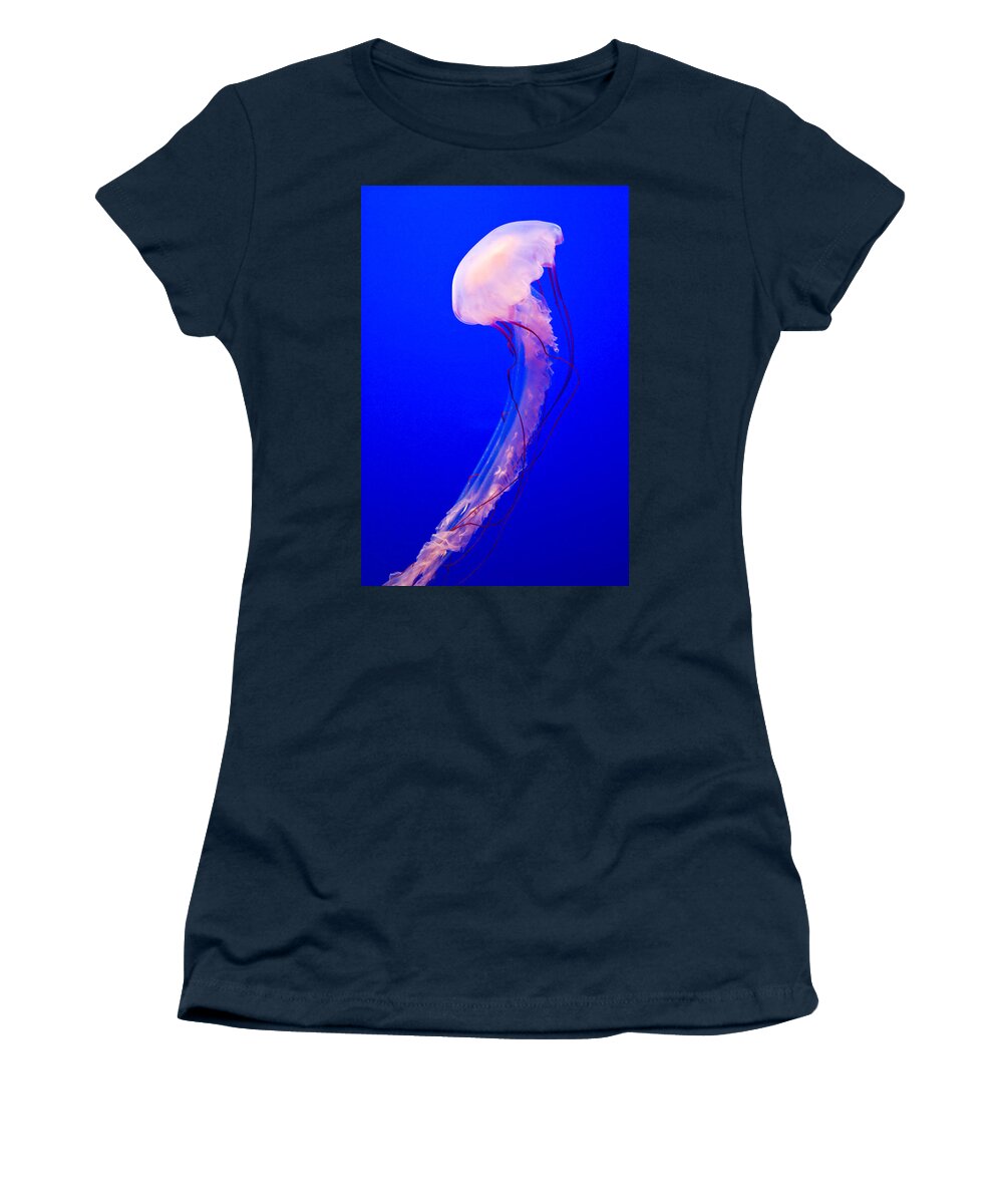 Jellyfish Women's T-Shirt featuring the photograph Jellyfish by Shane Kelly