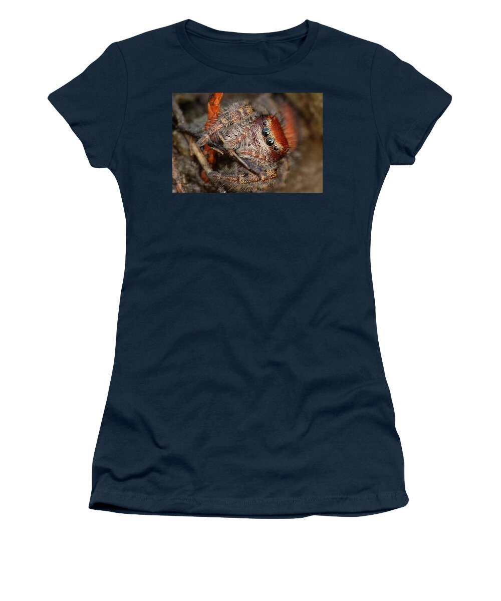Phidippus Cardinalis Women's T-Shirt featuring the photograph Jumping Spider Portrait by Daniel Reed