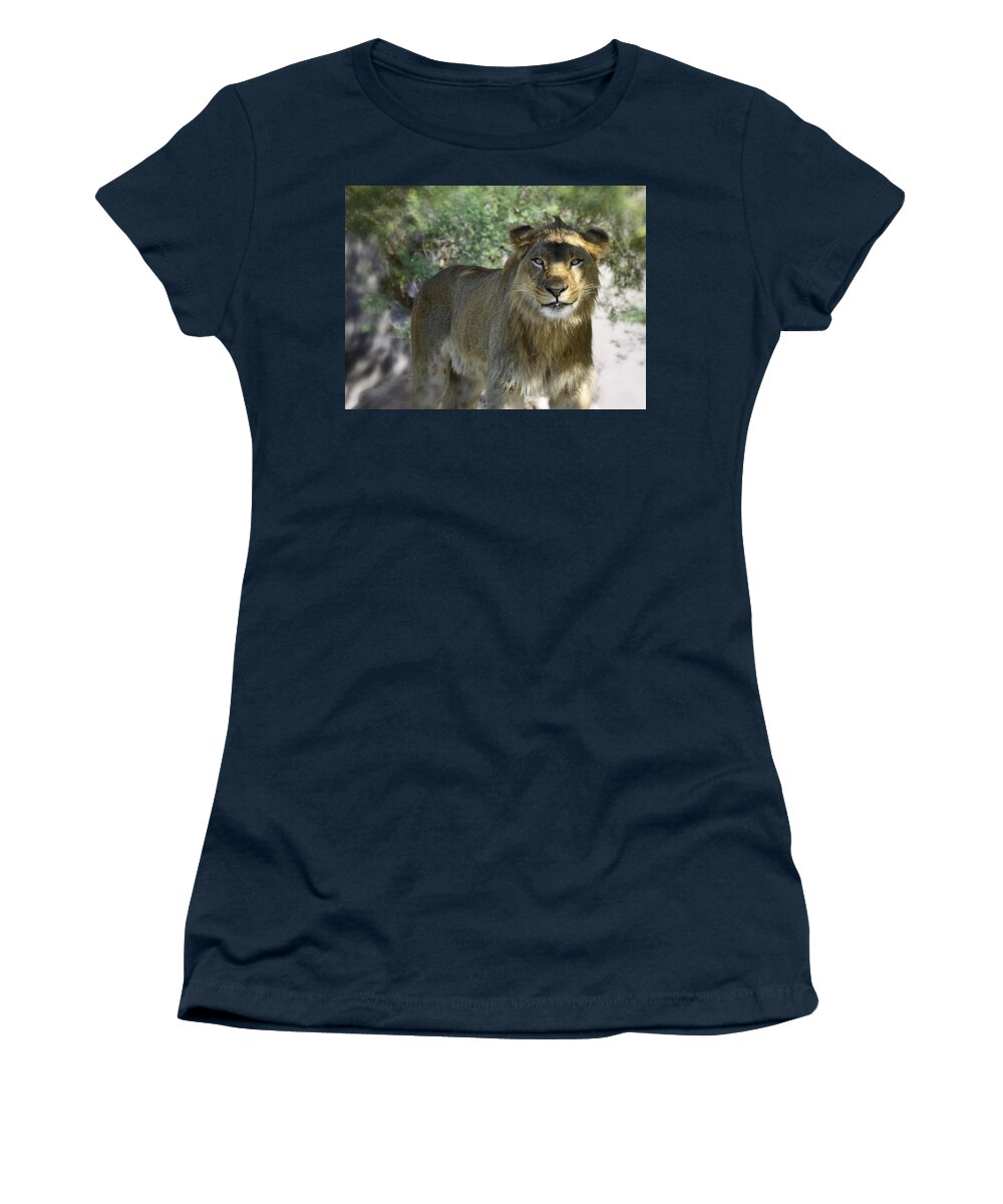 African Lion Women's T-Shirt featuring the photograph Just Smile by Saija Lehtonen