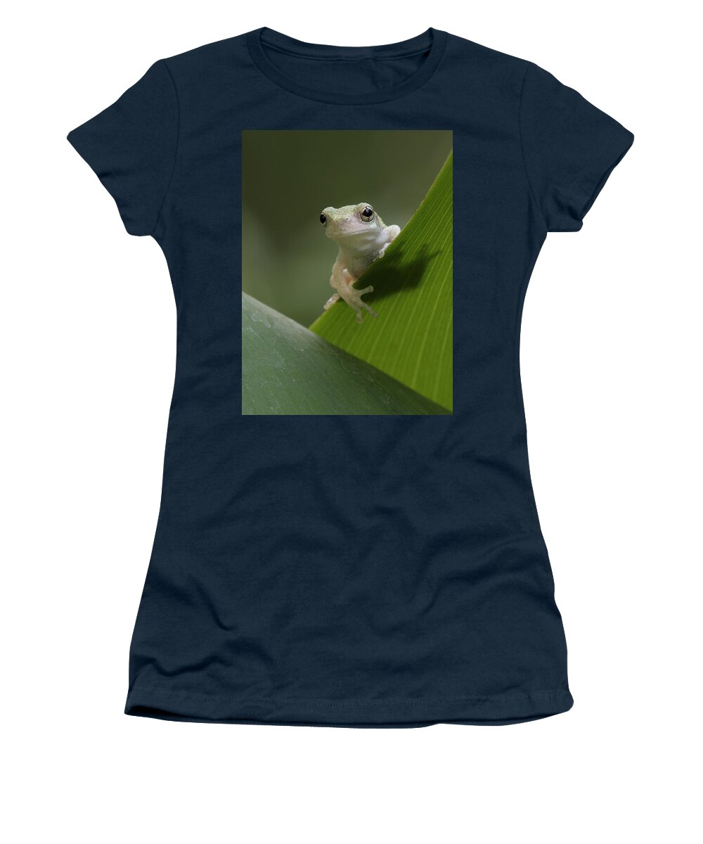 Grey Treefrog Women's T-Shirt featuring the photograph Juvenile Grey Treefrog by Daniel Reed