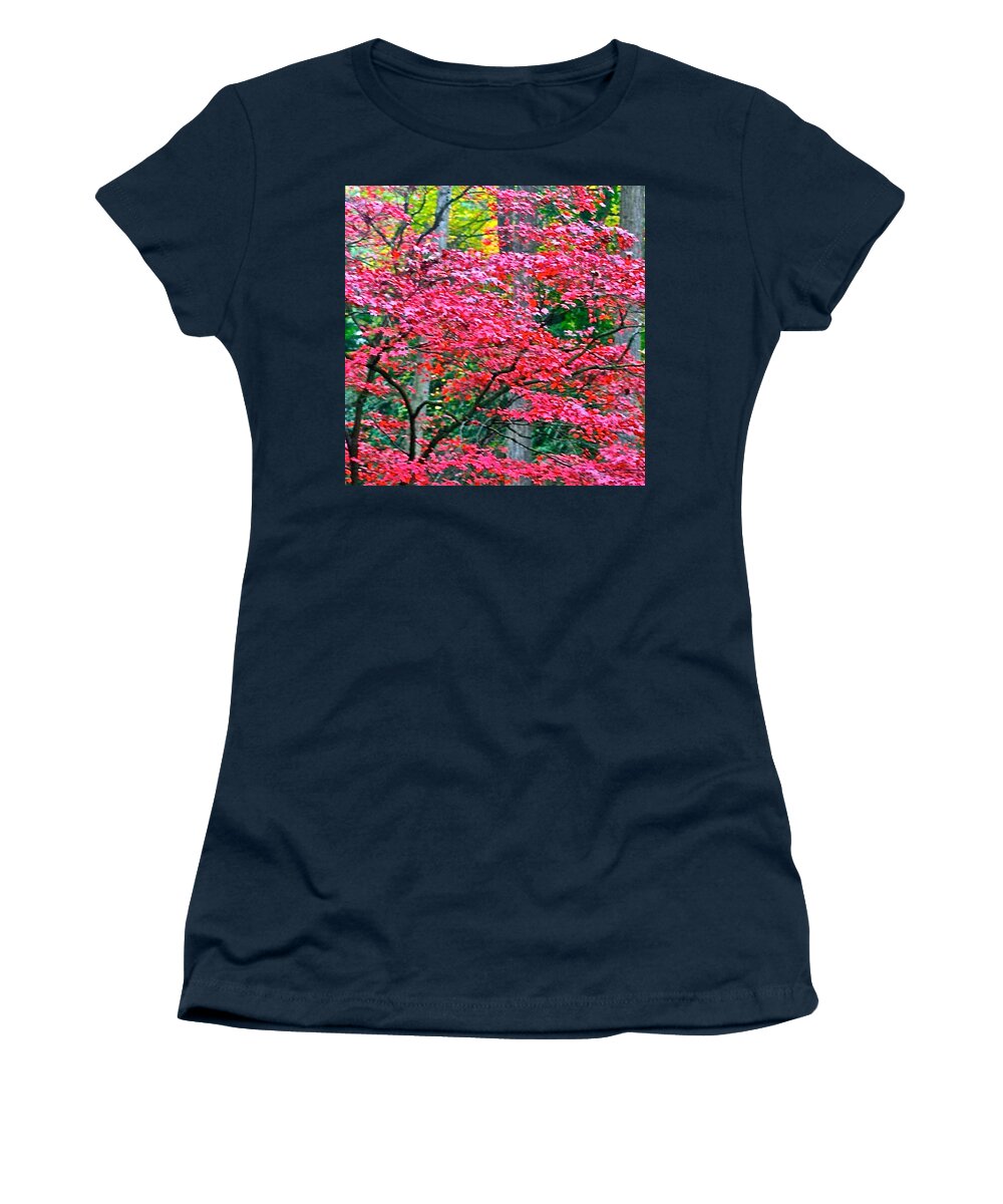 Fall Color Women's T-Shirt featuring the photograph Lacy Red Maple Trees by Anna Porter