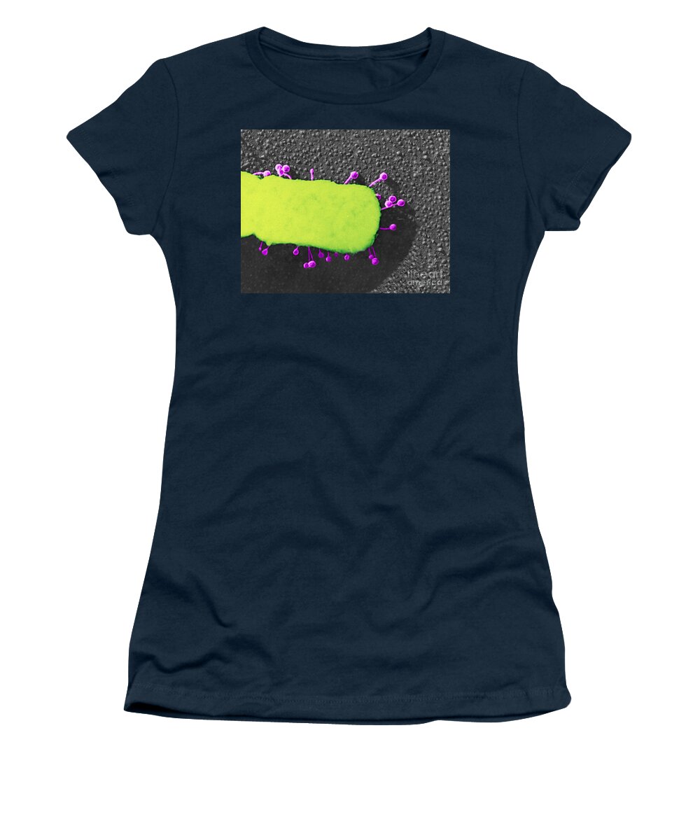 Bacteria Women's T-Shirt featuring the photograph Lambda Phage On E. Coli by Science Source