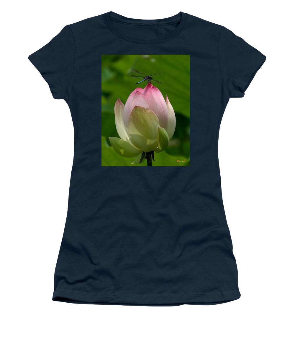 Nature Women's T-Shirt featuring the photograph Lotus Bud and Blue Dasher Dragonfly--Supporting Role DL019 by Gerry Gantt