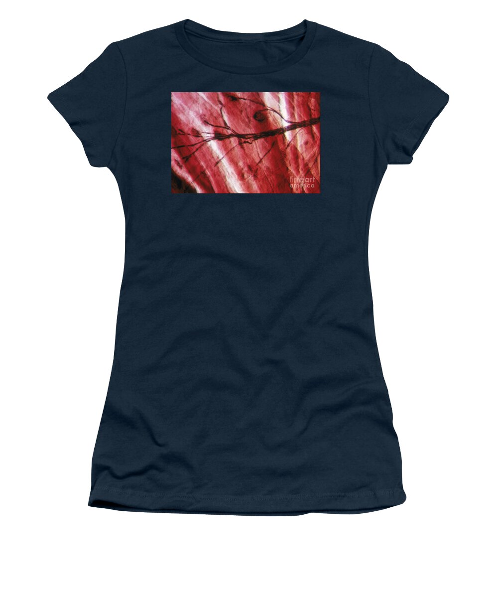 Neurone Women's T-Shirt featuring the photograph Motor End Plate by Eric V. Grave