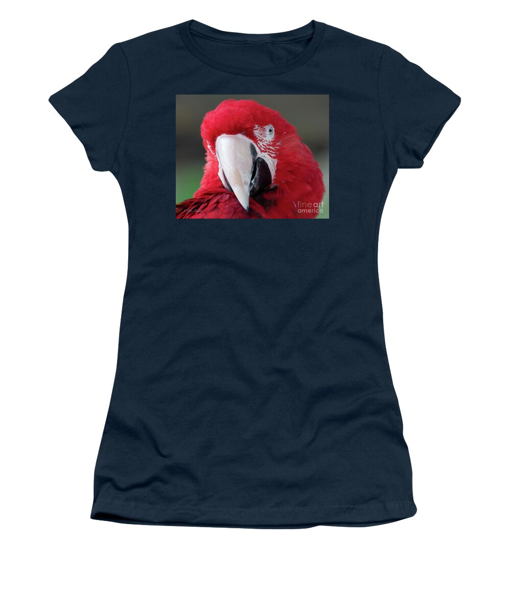 Birds Women's T-Shirt featuring the photograph My better side by Sue Karski