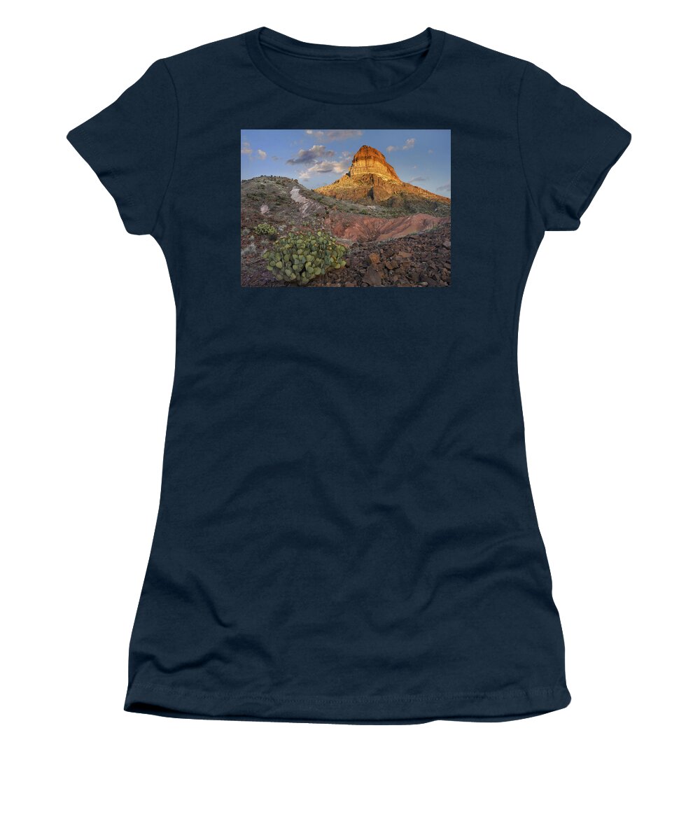 00176467 Women's T-Shirt featuring the photograph Opuntia Cactus At Cerro Castellan by Tim Fitzharris
