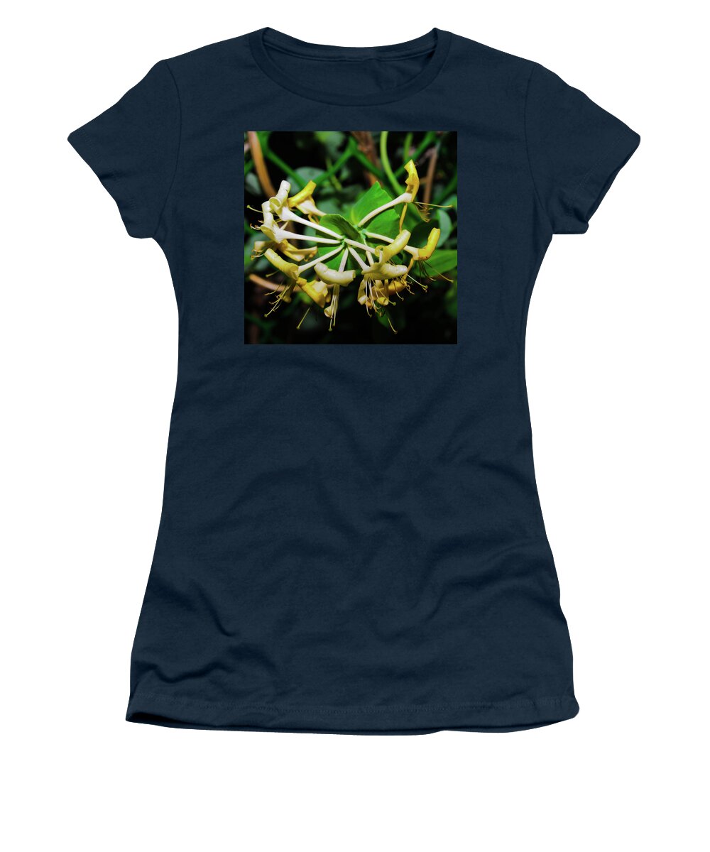 Closeup Women's T-Shirt featuring the photograph Overblown Perfoliate by Michael Goyberg