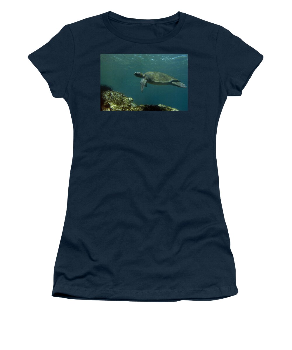 Mp Women's T-Shirt featuring the photograph Pacific Green Sea Turtle Chelonia Mydas by Pete Oxford
