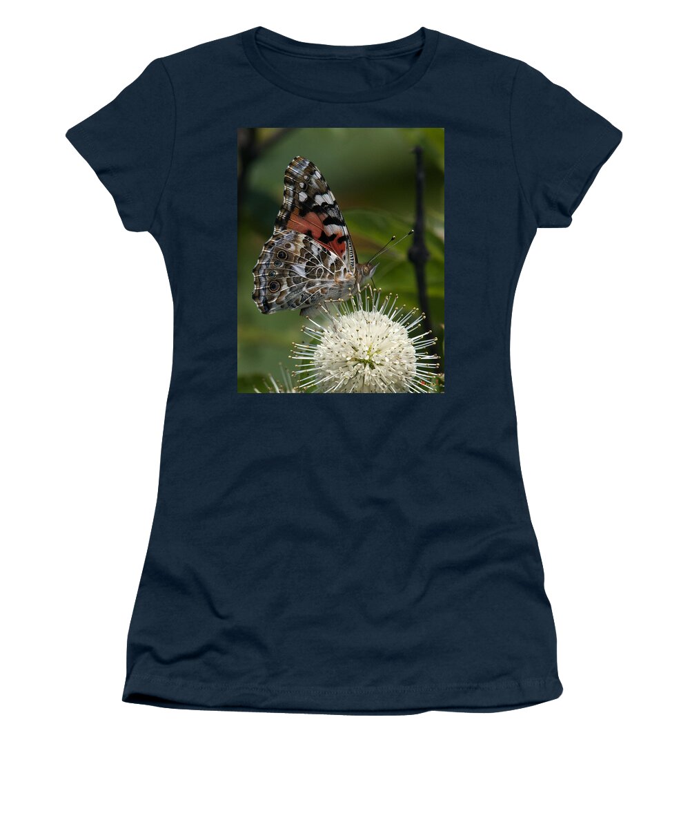 Study Women's T-Shirt featuring the photograph Painted Lady Butterfly DIN049 by Gerry Gantt