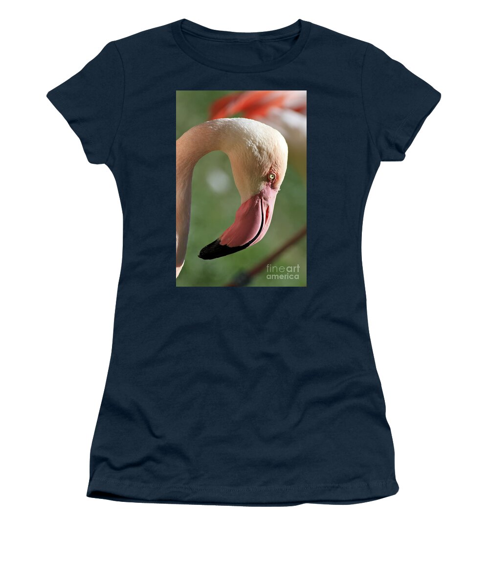 Animal Women's T-Shirt featuring the photograph Pink Flamingo by Teresa Zieba