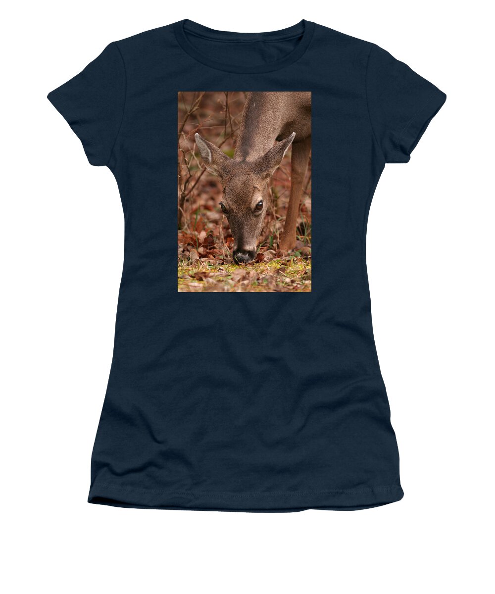 Odocoileus Virginanus Women's T-Shirt featuring the photograph Portrait Of Browsing Deer Two by Daniel Reed