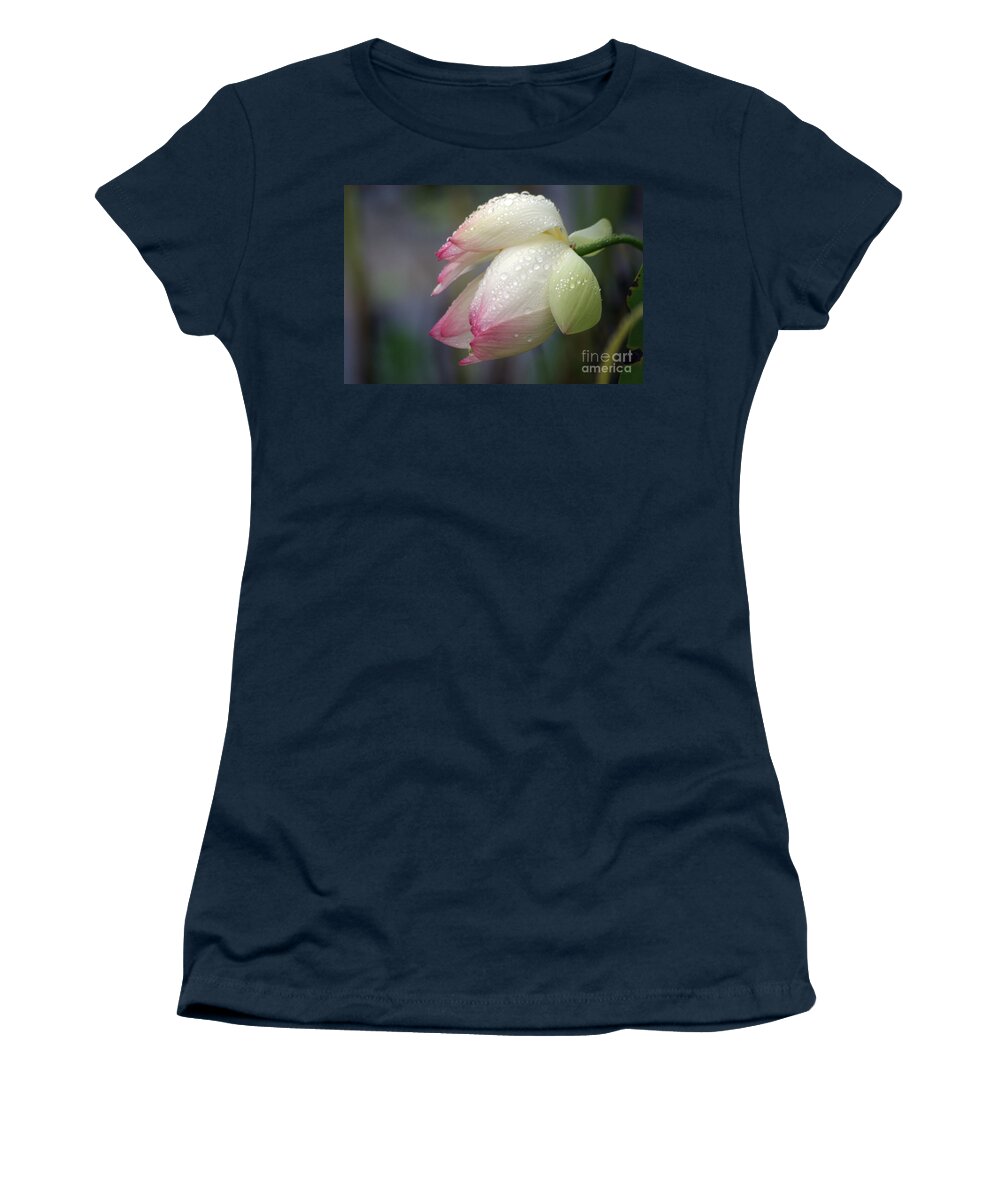 Lotus Women's T-Shirt featuring the photograph Rained Upon by Living Color Photography Lorraine Lynch