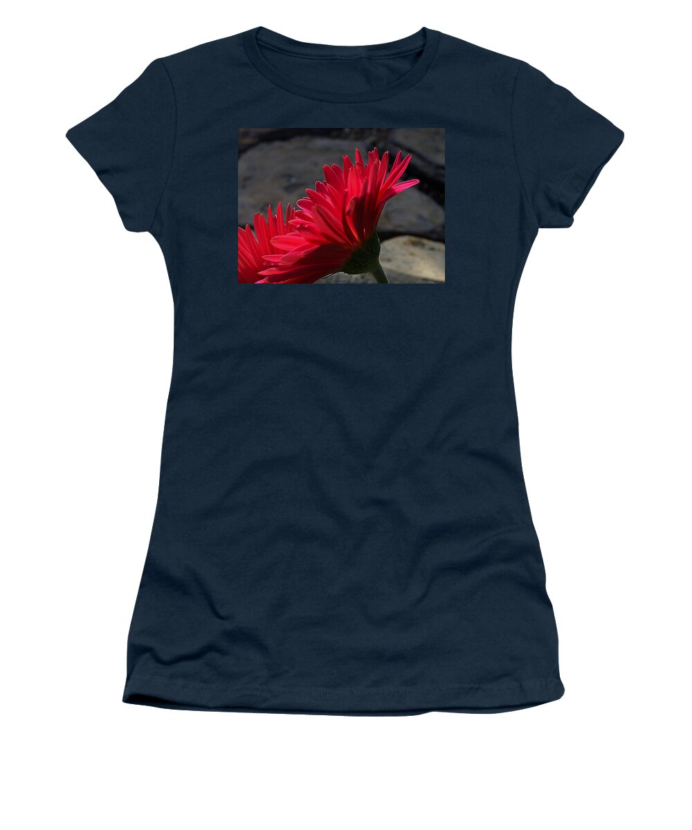English Daisies Women's T-Shirt featuring the photograph Red English Daisy by Joe Schofield