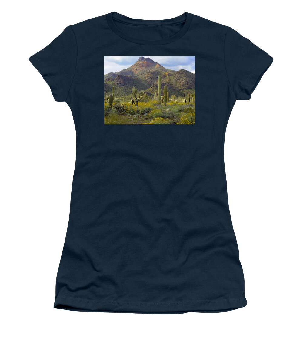 00175591 Women's T-Shirt featuring the photograph Saguaro And Teddybear Cholla by Tim Fitzharris