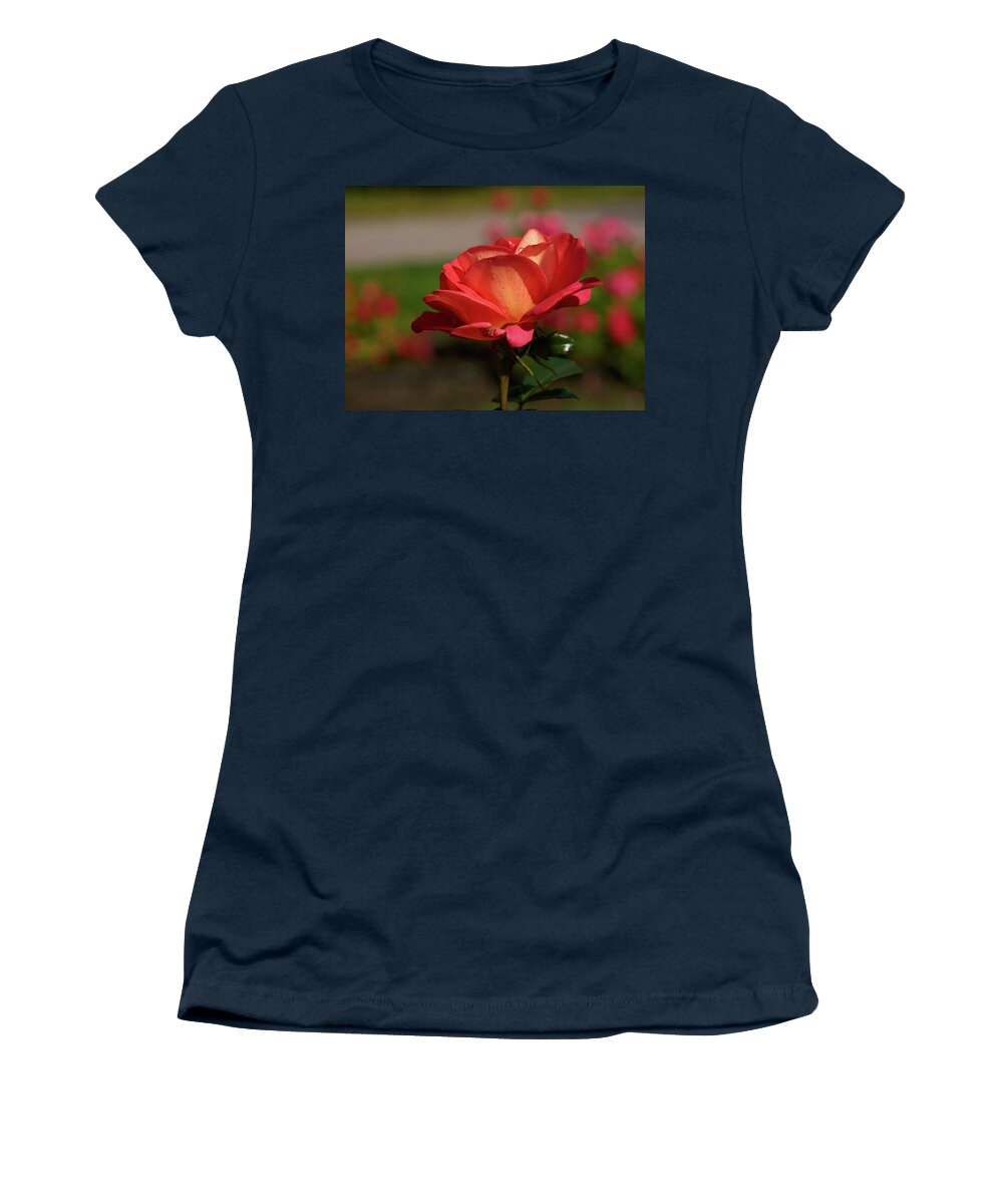 Jouko Lehto Women's T-Shirt featuring the photograph Shanty rose by Jouko Lehto