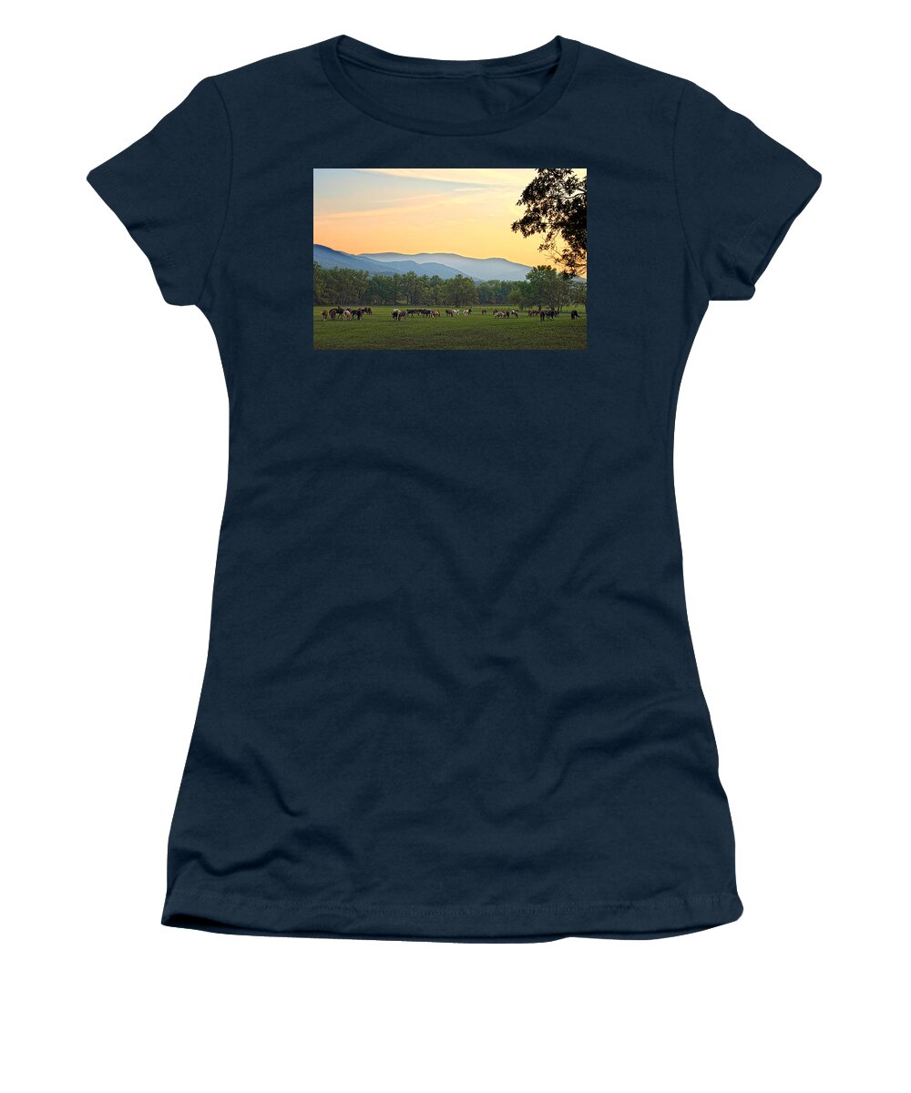 Smoky Mountain Women's T-Shirt featuring the photograph Smoky Mountain Horse Herd by Randall Branham
