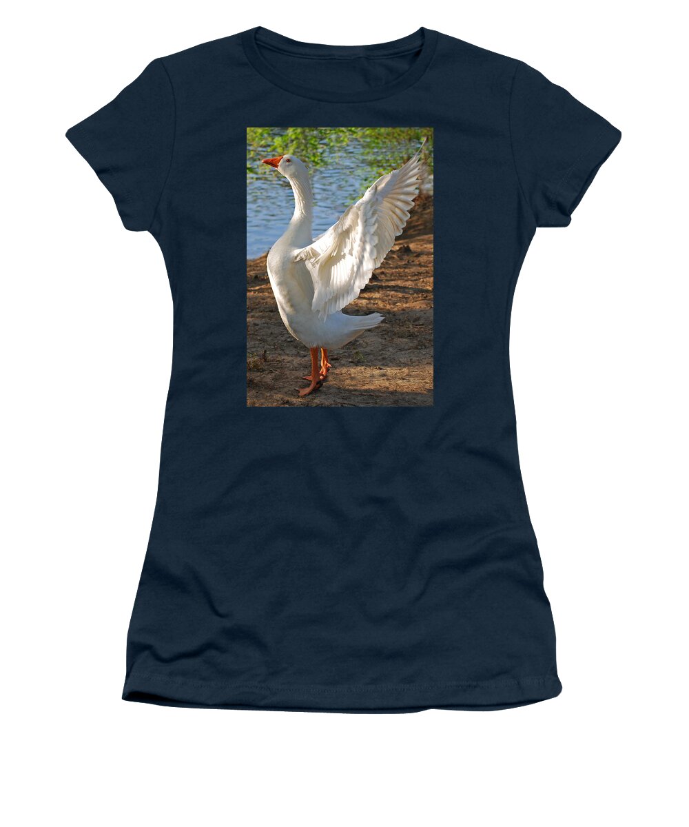 Landscape Women's T-Shirt featuring the photograph Spread Your Wings by Lisa Phillips