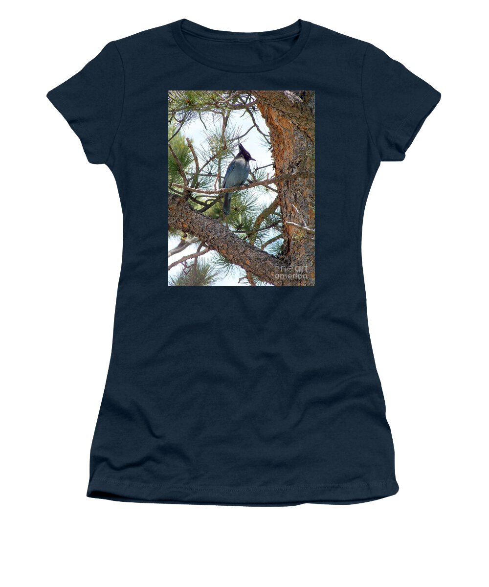 Birds Women's T-Shirt featuring the photograph Stellar's Jay by Dorrene BrownButterfield