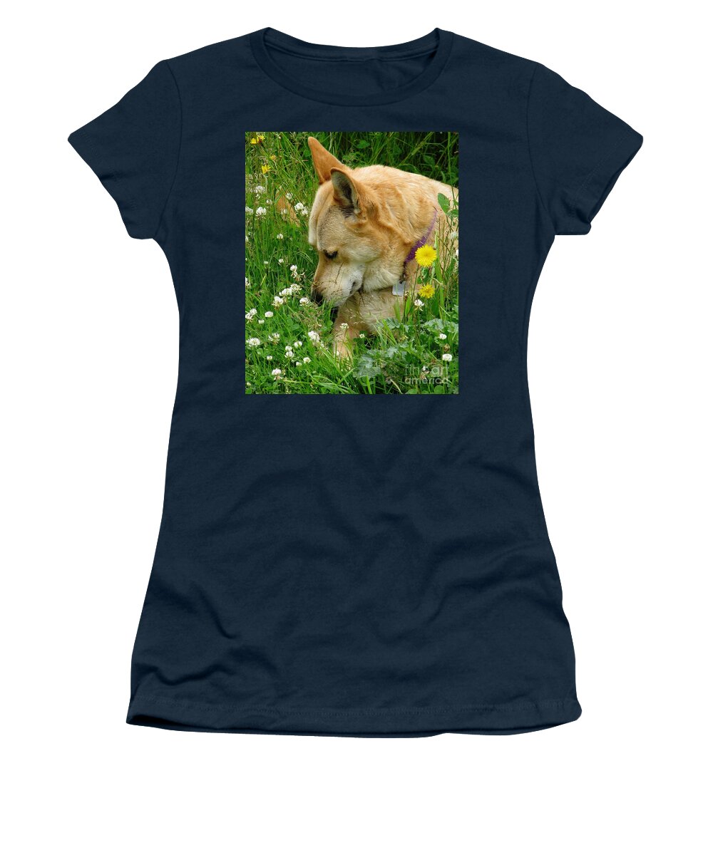 Dog Women's T-Shirt featuring the photograph Stop And Smell The Clover by Rory Siegel