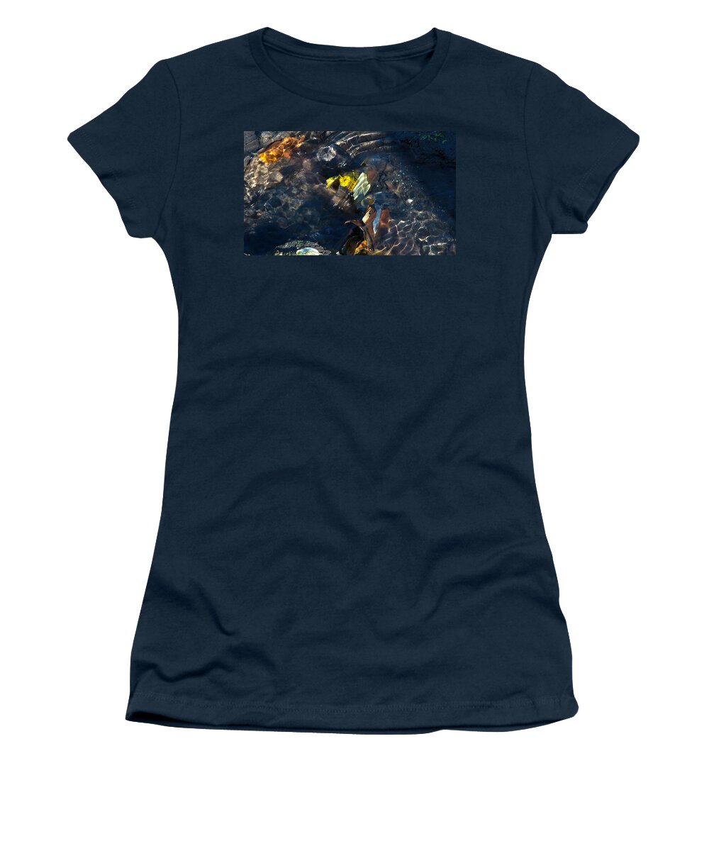 Autumn Women's T-Shirt featuring the photograph Sun Water Leaves and Mud by Ed Peterson