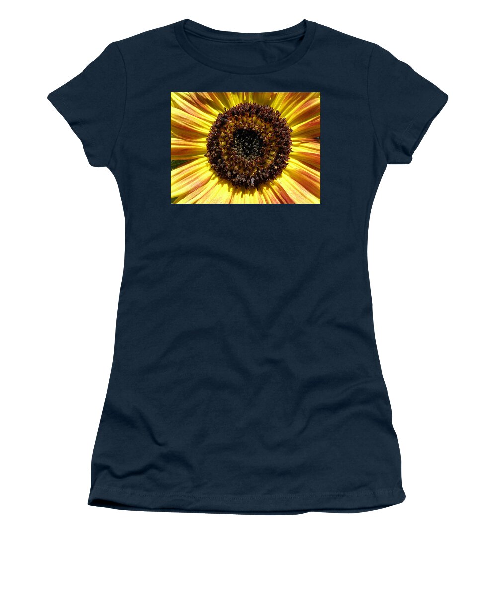 Flower Women's T-Shirt featuring the photograph Sunburst by Kim Galluzzo
