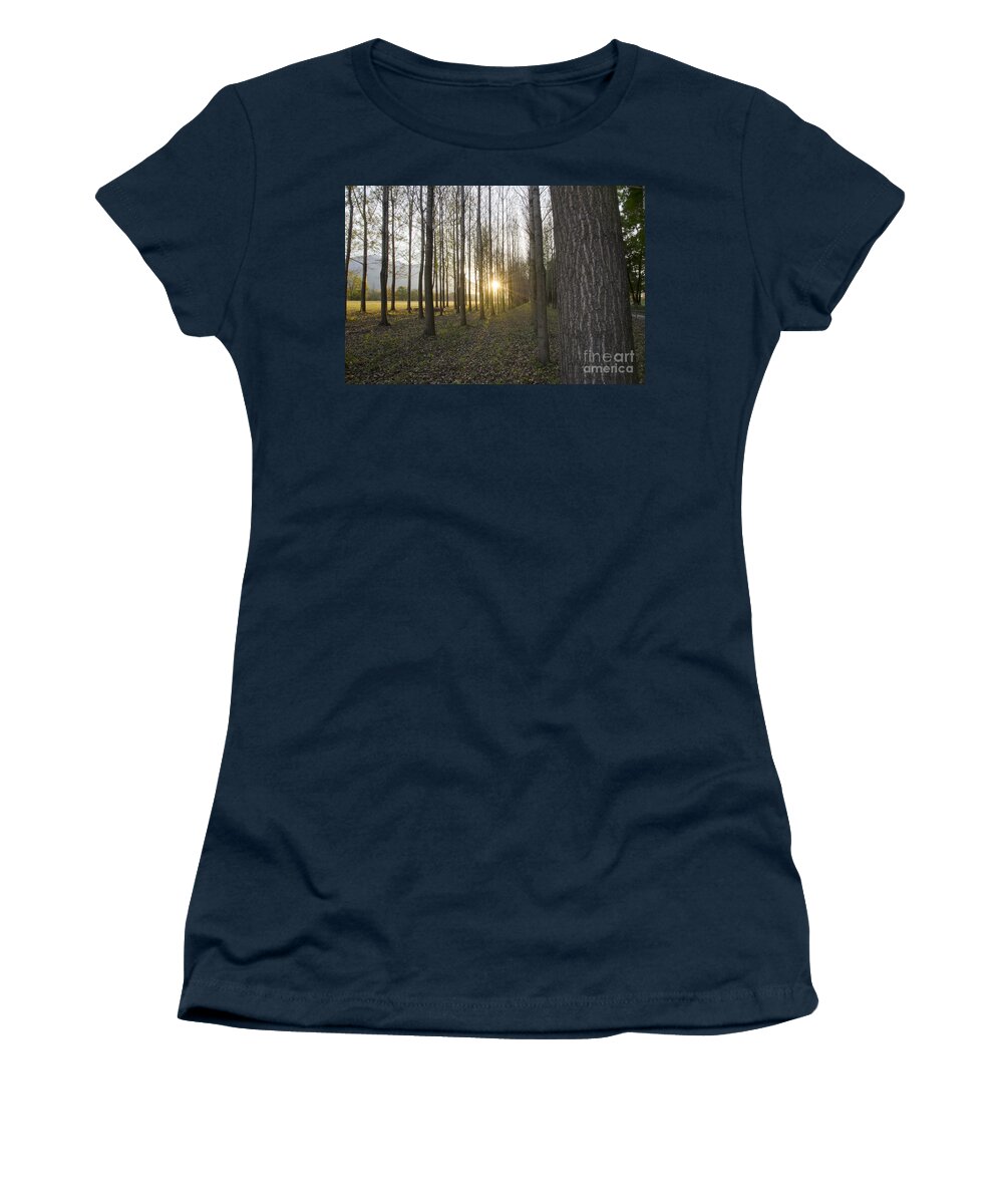 Field Women's T-Shirt featuring the photograph Sunlight in the forest by Mats Silvan