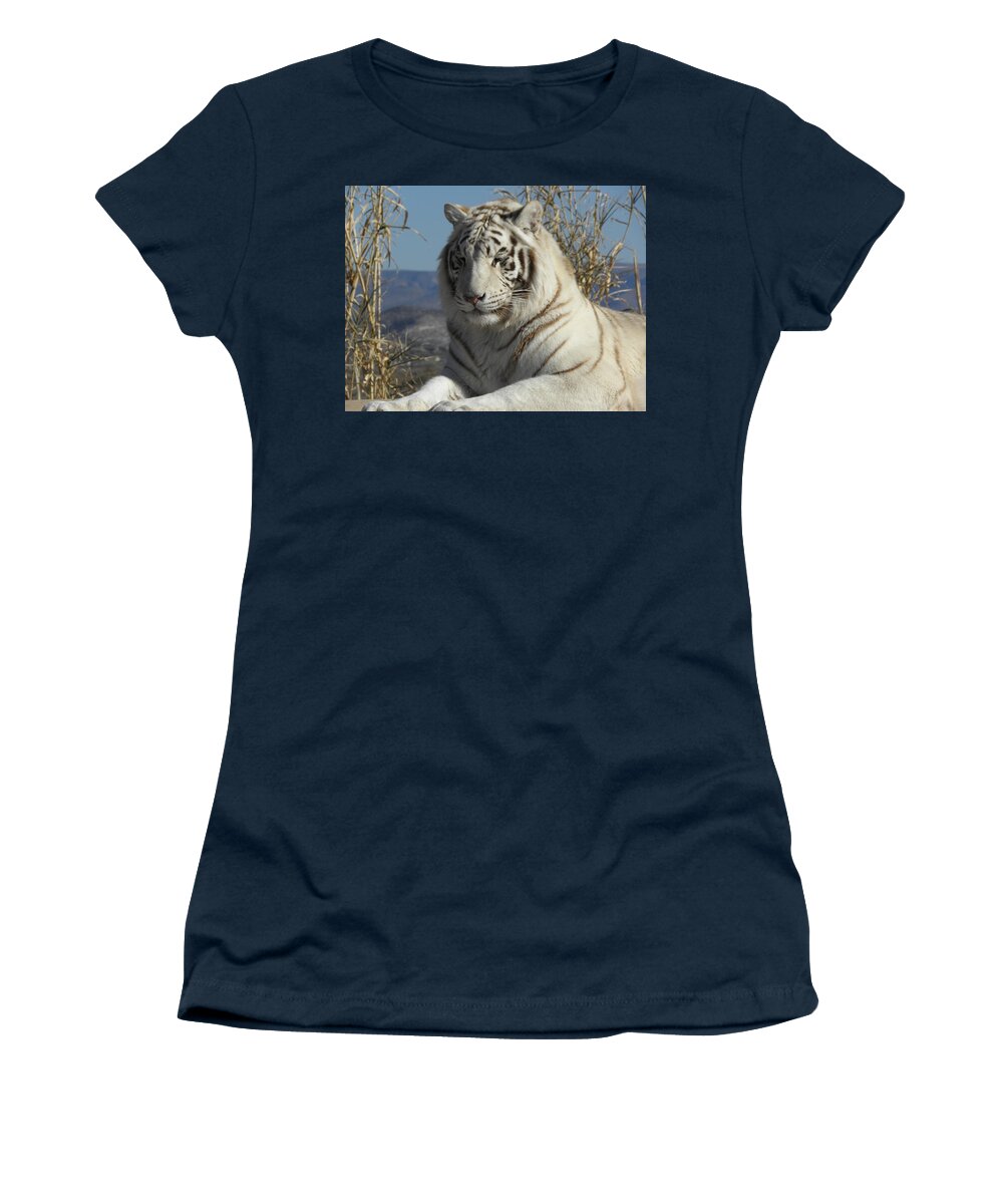 Cat Women's T-Shirt featuring the photograph Taking a cat nap by Kim Galluzzo