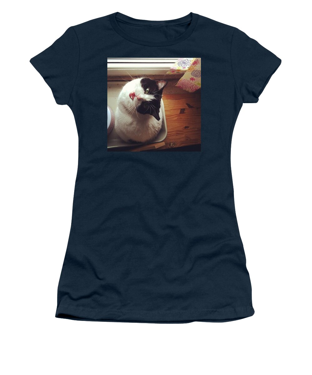 Catsofinstagram Women's T-Shirt featuring the photograph the Bowl's Empty! #cat by Katie Cupcakes