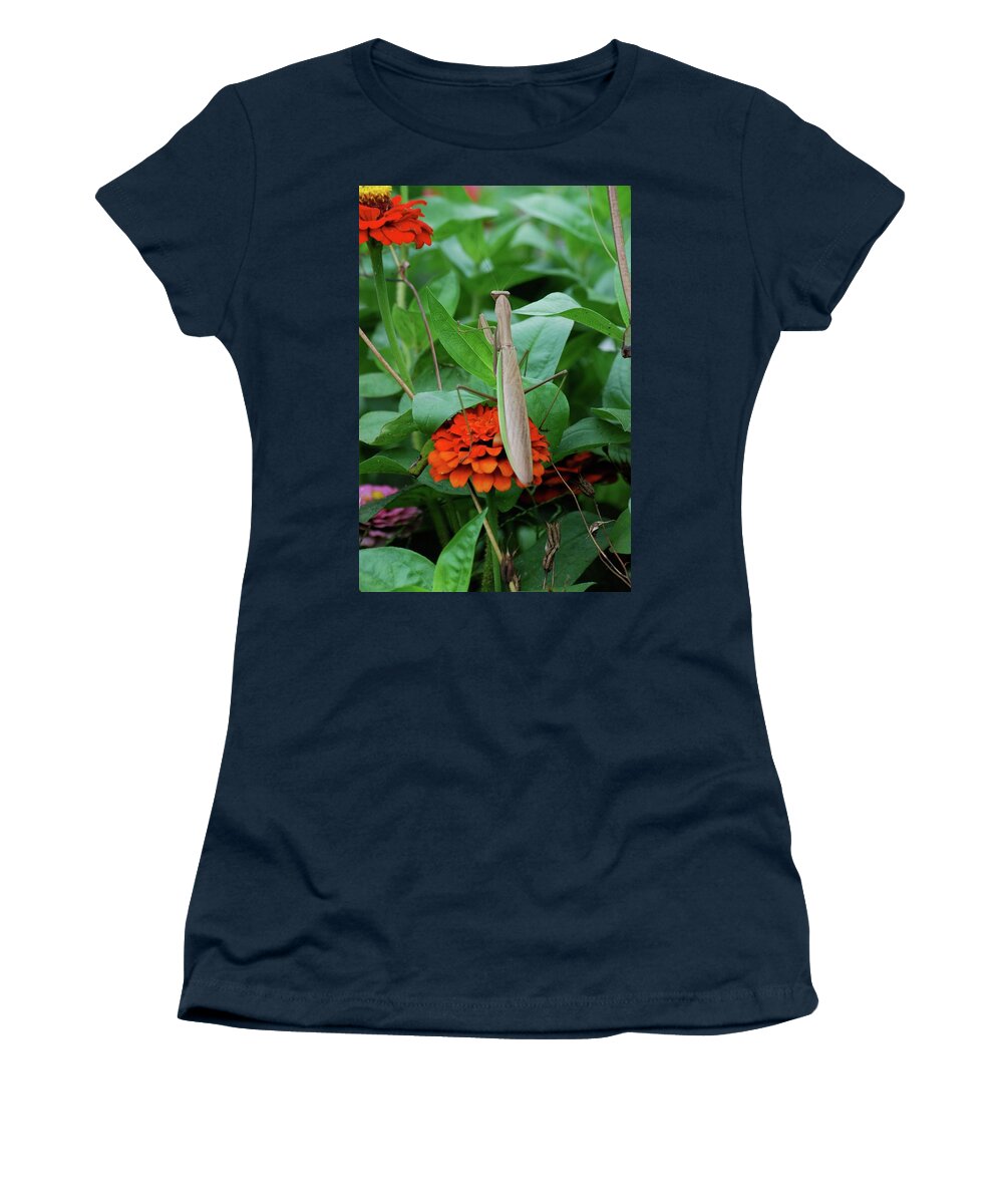 Insects Women's T-Shirt featuring the photograph The Patience of a Mantis by Thomas Woolworth