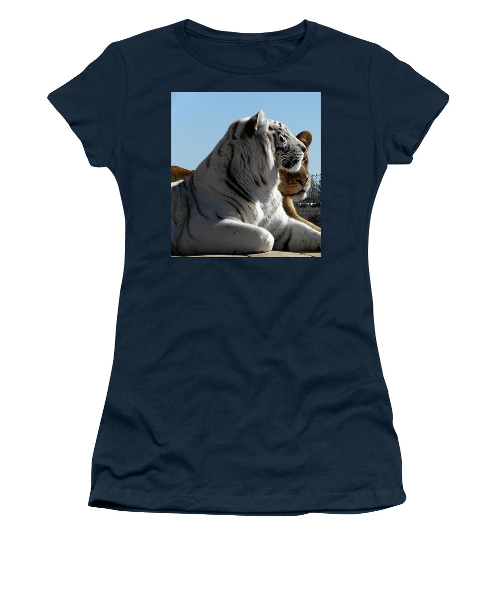 Tiger Women's T-Shirt featuring the photograph Tiger and Lion friends by Kim Galluzzo