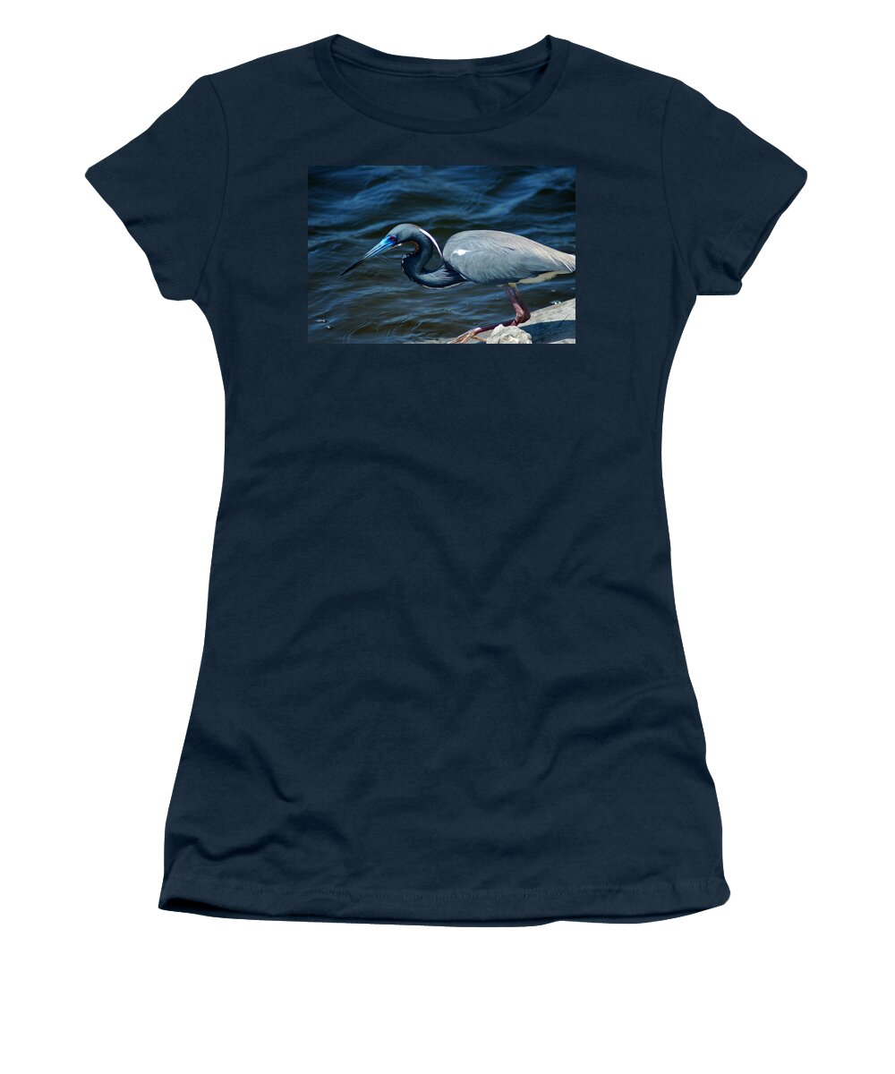 Tricolored Heron Women's T-Shirt featuring the photograph TriColored Heron by David Weeks