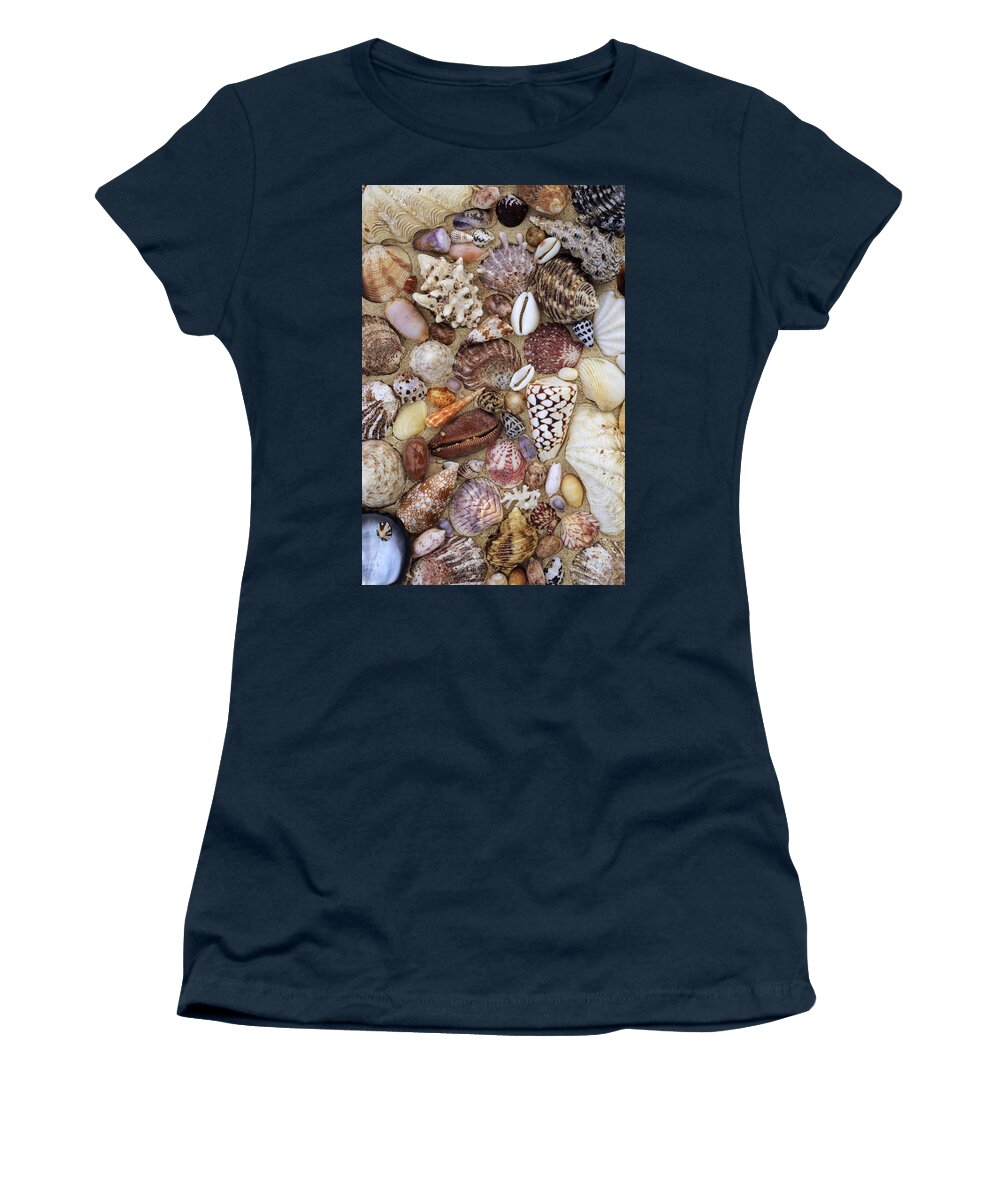 00277779 Women's T-Shirt featuring the photograph Various Conch, Cowry, Clam And Other by Rinie Van Meurs