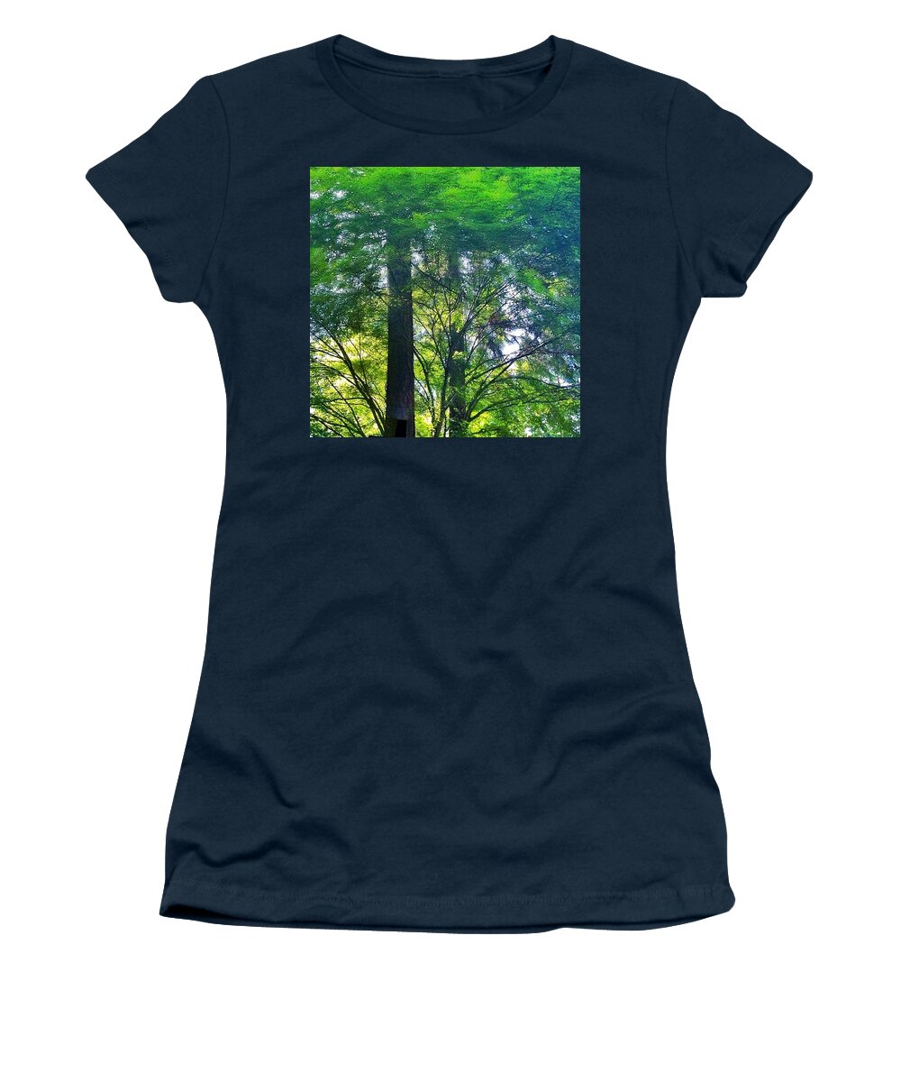 Summer Women's T-Shirt featuring the photograph Vine Maple Afternoon Light #trees by Anna Porter