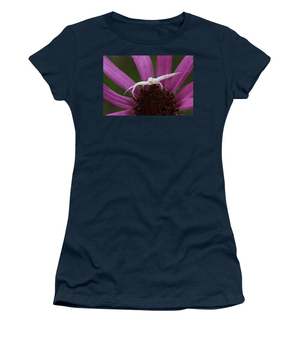 Whitebanded Crab Spider Women's T-Shirt featuring the photograph Whitebanded Crab Spider On Tennessee Coneflower by Daniel Reed