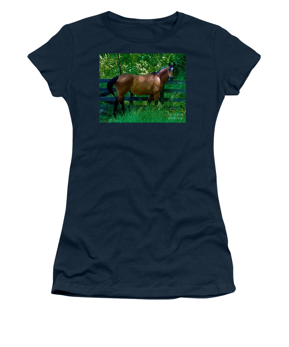 Horse Women's T-Shirt featuring the photograph Who you looking at by Mark Dodd