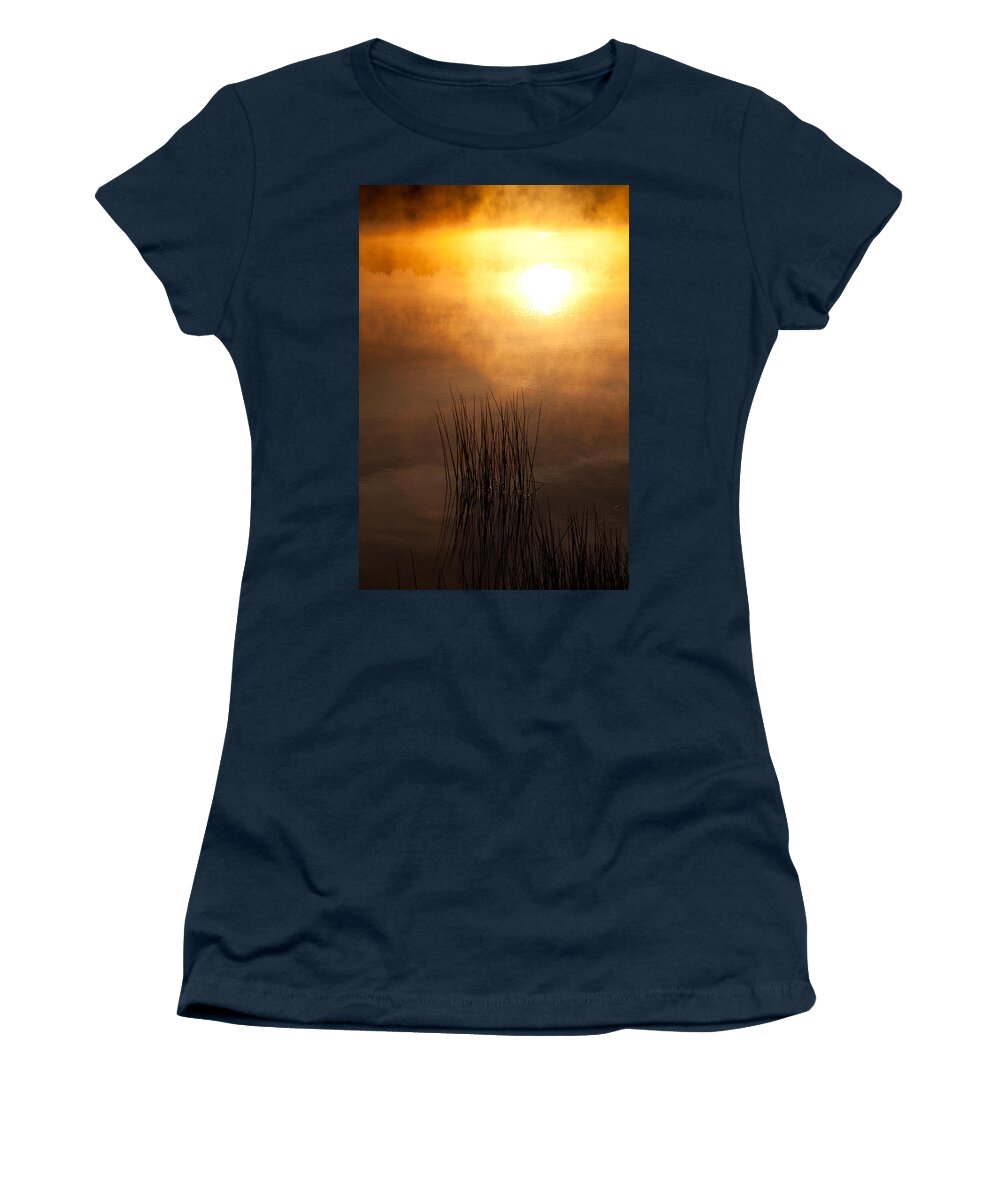 Misty Lake Women's T-Shirt featuring the photograph Mist and Lake Reeds at Sunrise by Irwin Barrett