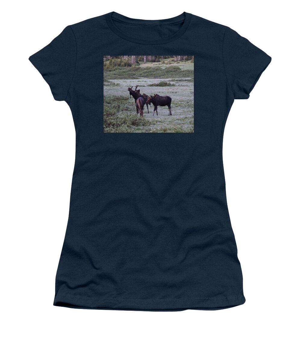 Moose Women's T-Shirt featuring the photograph Moose Cameron Pass CO #1 by Margarethe Binkley