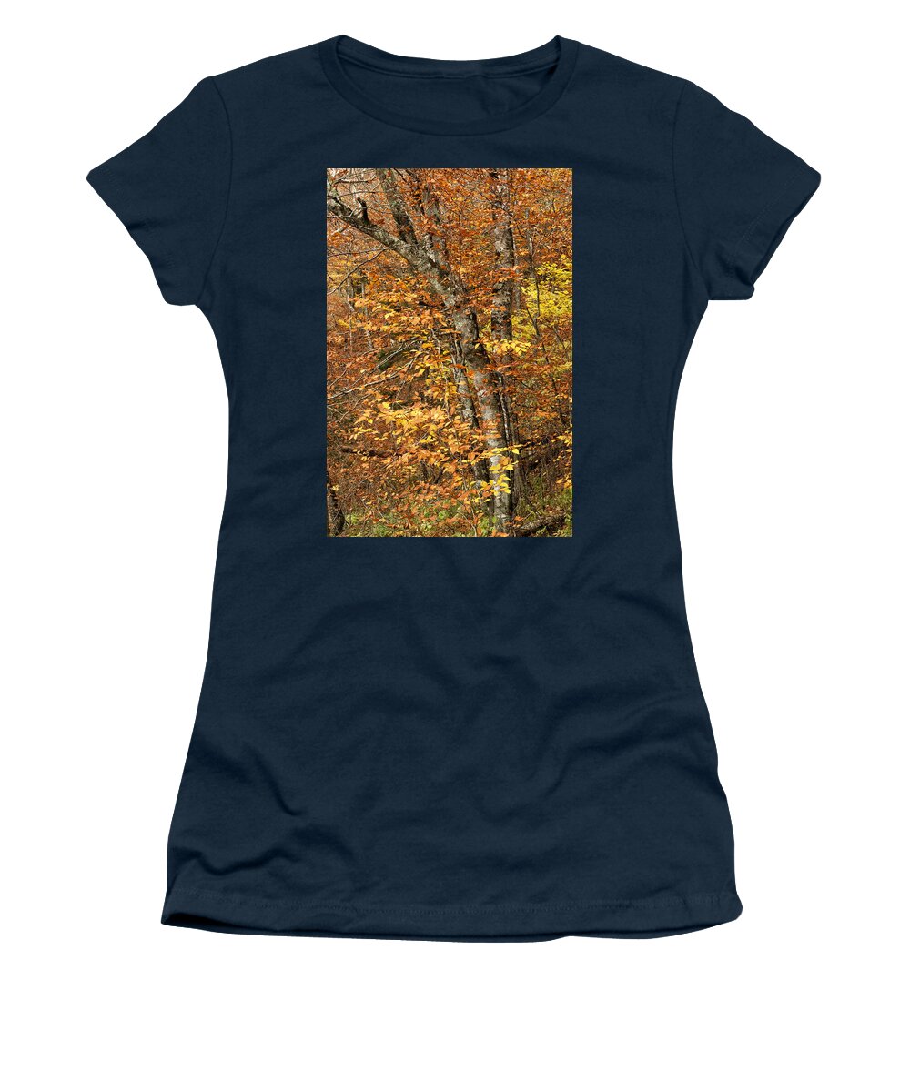 Autumn Women's T-Shirt featuring the photograph Autumn Colors #1 by Andrew Soundarajan