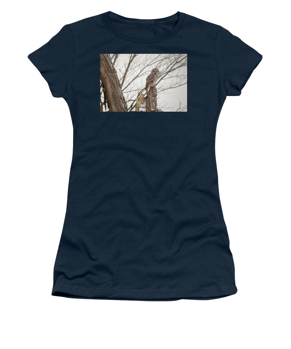 Barred Owl Women's T-Shirt featuring the digital art Barred Owl #1 by Super Lovely