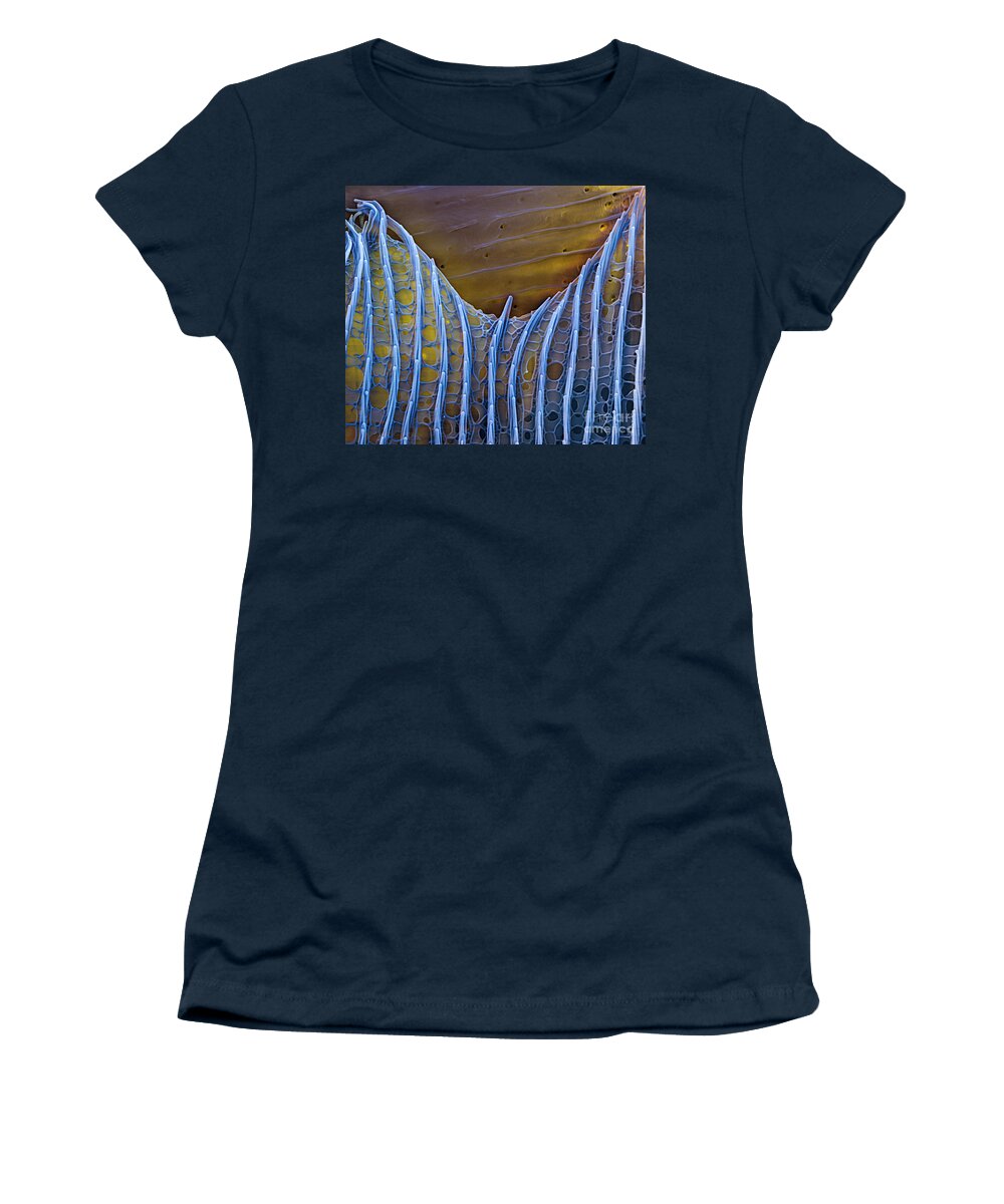 Science Women's T-Shirt featuring the photograph Butterfly Wing Scale Sem #1 by Eye of Science
