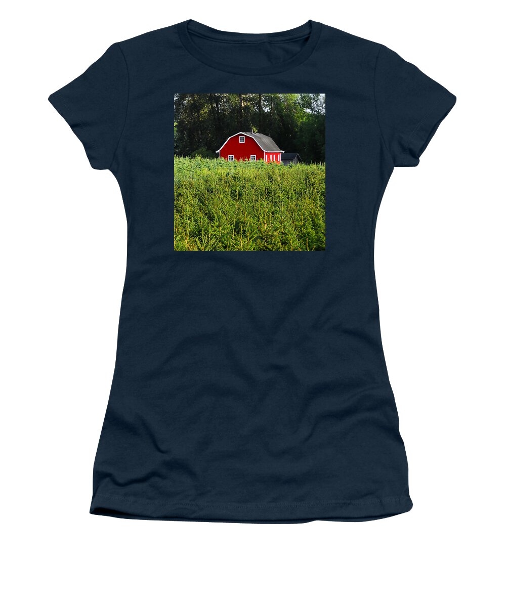 Christmas Tree Farm Women's T-Shirt featuring the photograph Christmas Tree Farm #1 by David Lee Thompson