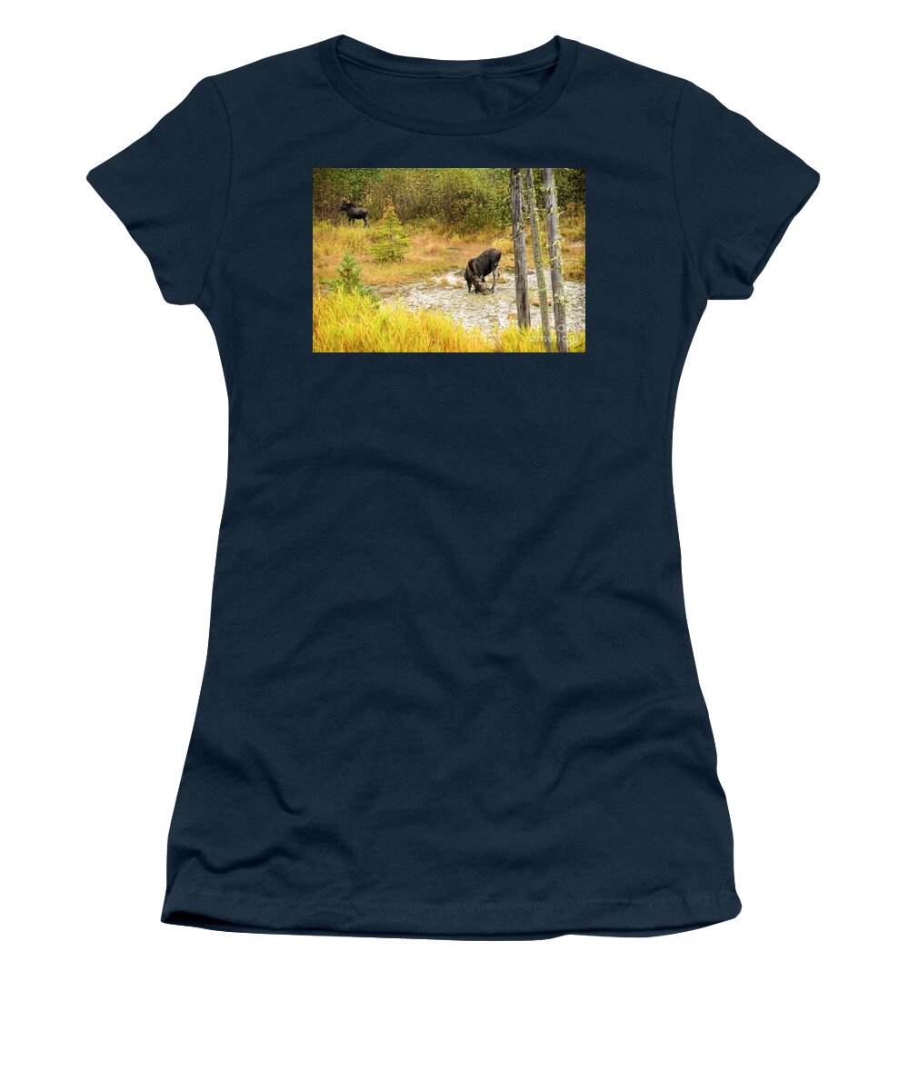 Maine Women's T-Shirt featuring the photograph Cow Moose and Calf #1 by Alana Ranney