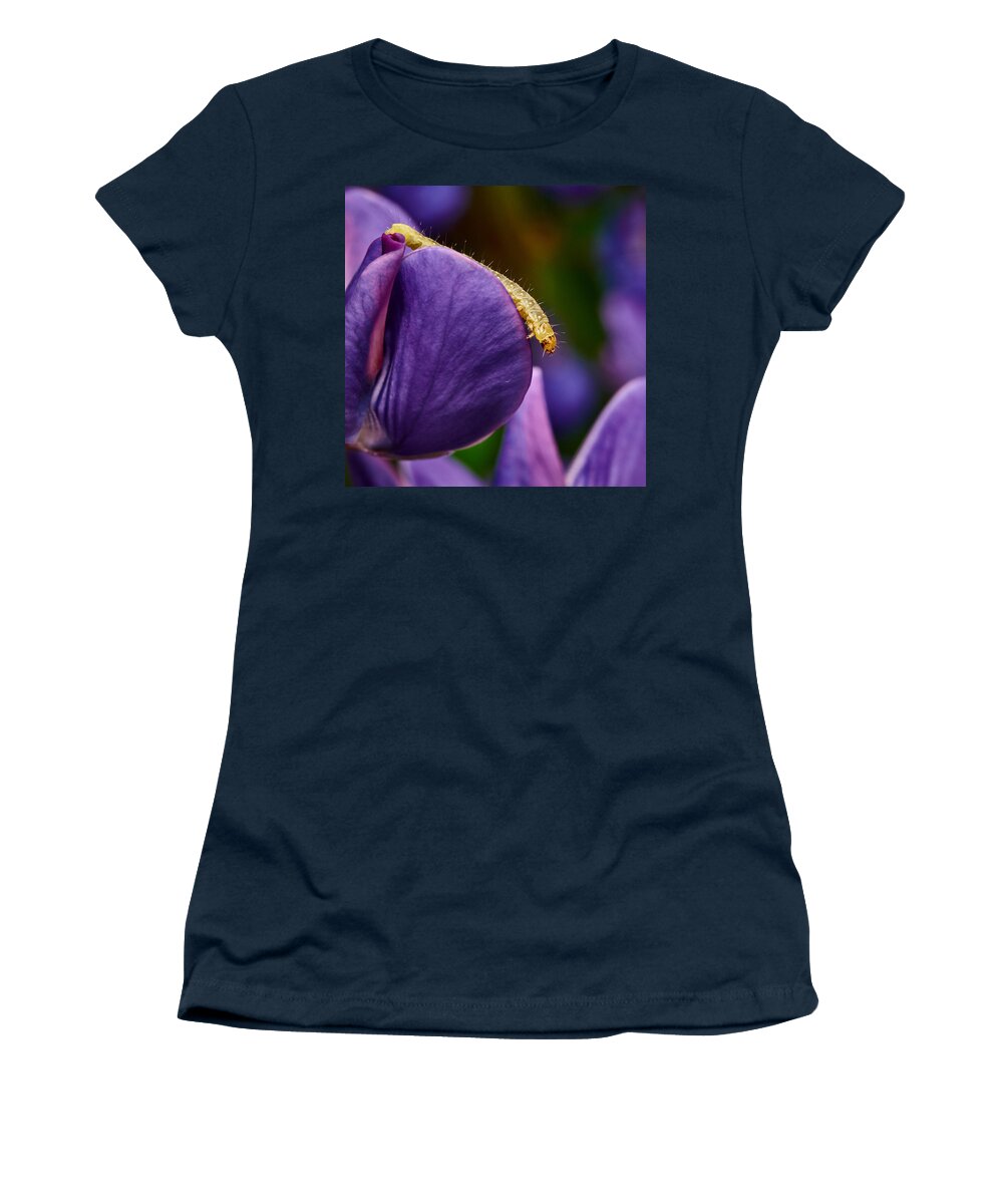 Finland Women's T-Shirt featuring the photograph Dreaming of wings #1 by Jouko Lehto