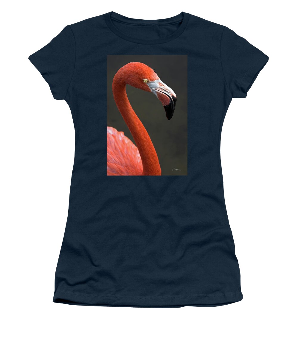 Flamingo Women's T-Shirt featuring the photograph Flamingo by Christopher Holmes