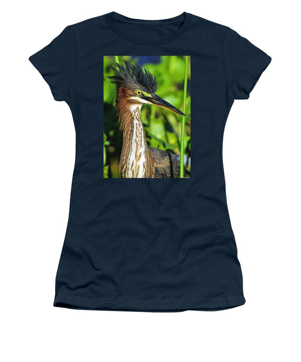 Dodsworth Women's T-Shirt featuring the photograph Green Heron #1 by Bill Dodsworth
