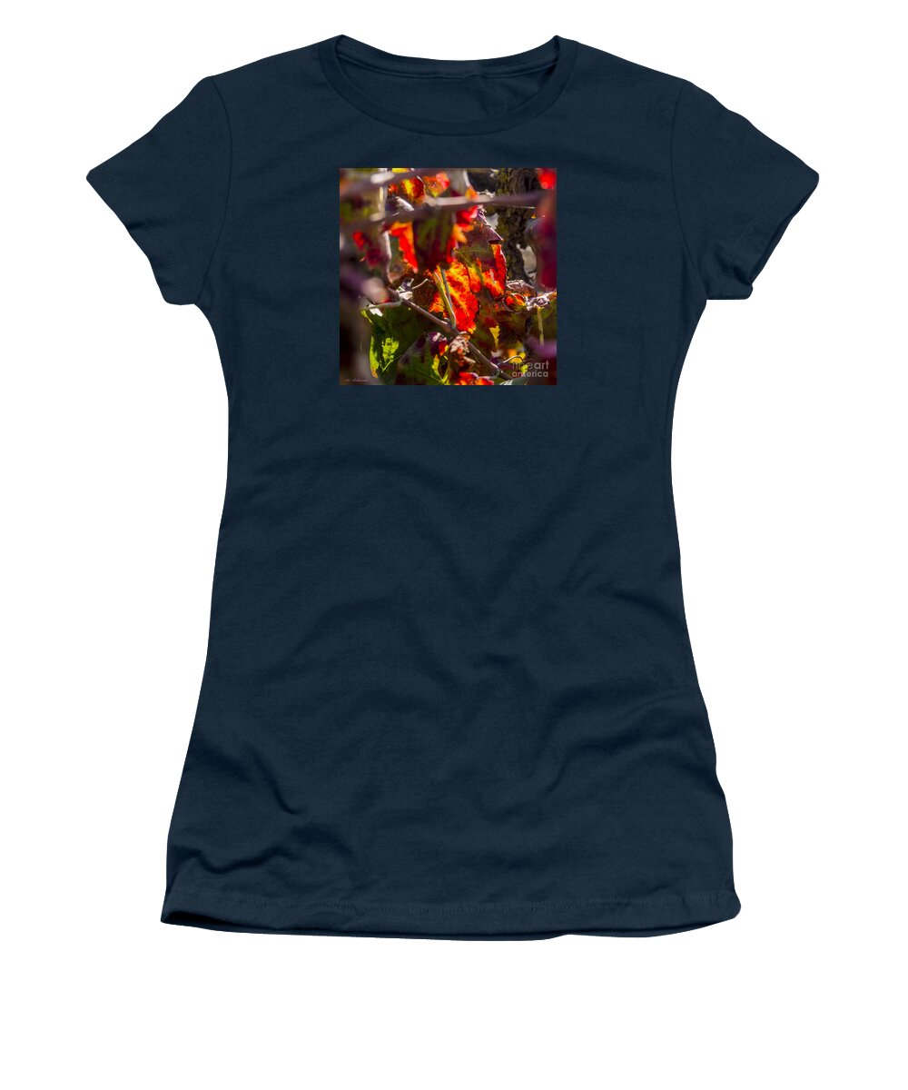 Autumn Women's T-Shirt featuring the photograph Hot autumn colors in the vineyard 05 by Arik Baltinester