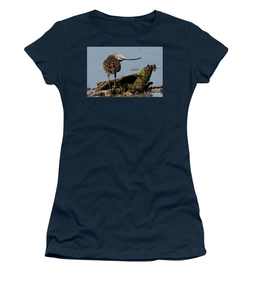 Long-billed Curlew Women's T-Shirt featuring the photograph Long-billed Curlew #1 by Meg Rousher