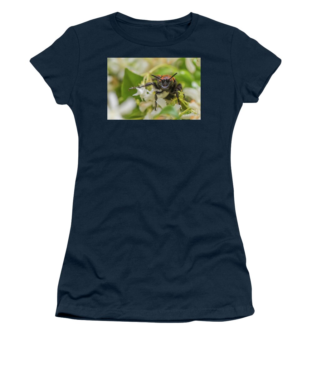 Animal Women's T-Shirt featuring the photograph Mammoth wasp Megascolia maculata maculata #1 by Jivko Nakev