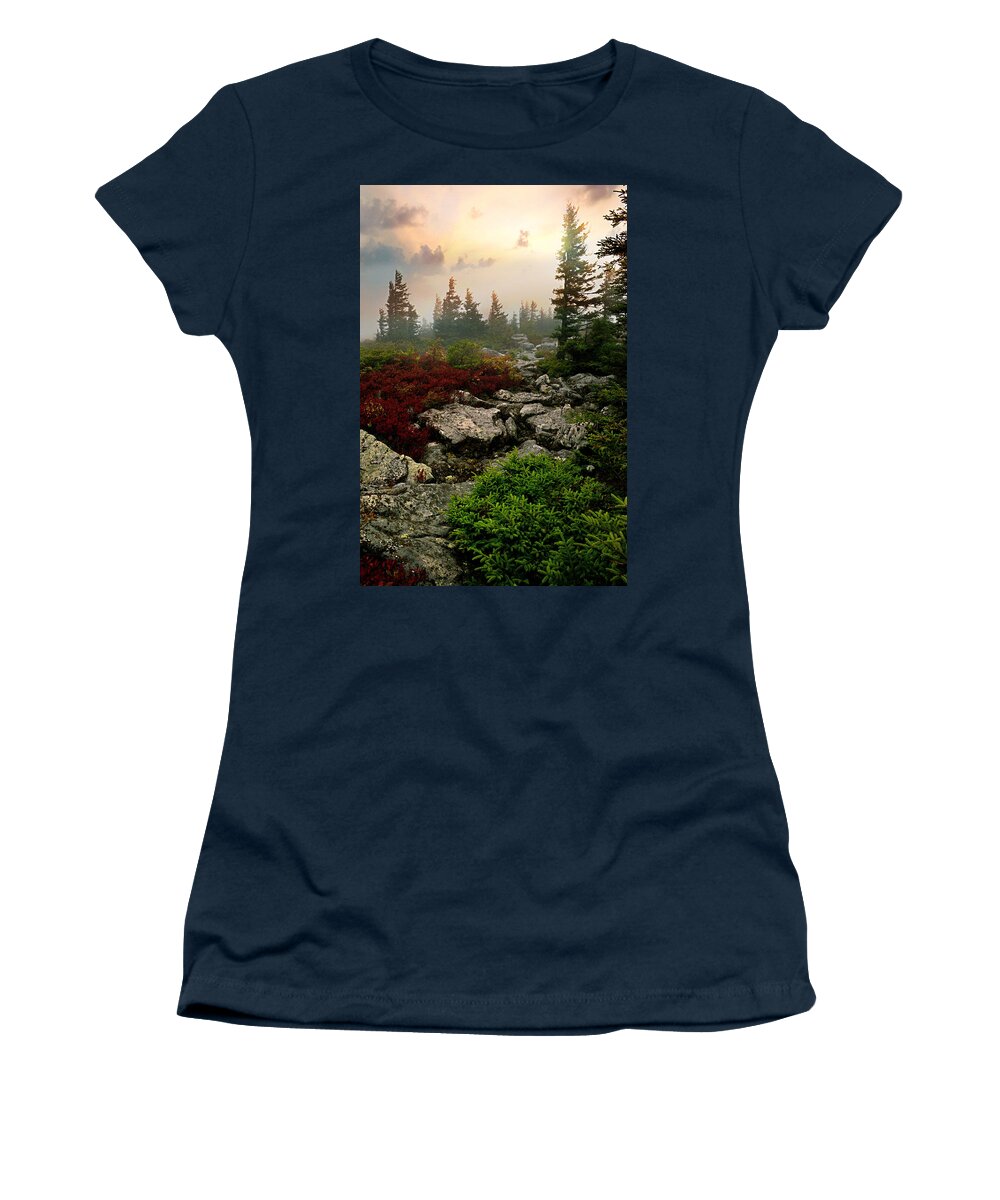 Sunshine Women's T-Shirt featuring the photograph Misty Morning #3 by Lisa Lambert-Shank