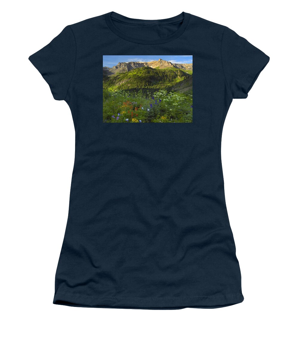 00176054 Women's T-Shirt featuring the photograph Orange Sneezeweed And Indian Paintbrush #1 by Tim Fitzharris